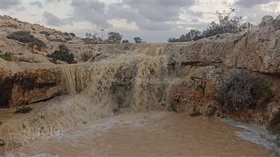 أمطار الخير تحول النجوع الصحراوية بمطروح إلى جنة (صور)