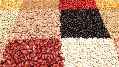 أسعار البقوليات اليوم الأربعاء 4-1-2023 في مصر