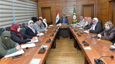 محافظ الدقهلية يتابع توصيل المرافق لمشروع مساكن أرض حي شرق المنصورة والجلاء