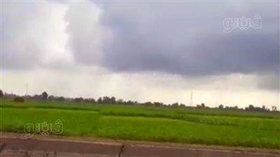 أجواء شتوية شديدة، أمطار غزيرة ورياح على محافظة الغربية (فيديو)