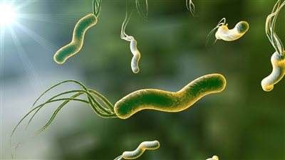 أعراض الميكروب الحلزوني، الأسباب وطرق الوقاية والعلاج