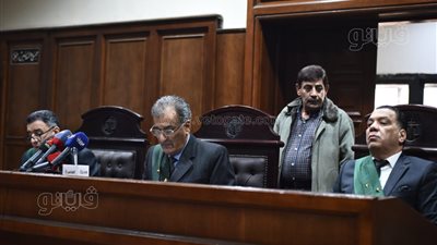 منة شلبي، النيابة تطالب بتطبيق مواد الاتهام على الفنانة 