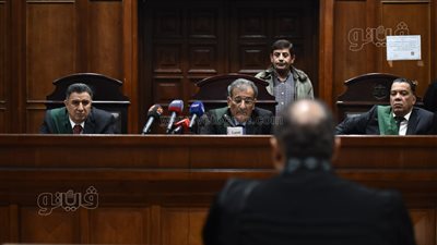 منة شلبي، الدفاع للمحكمة: والدة موكلتي تعاني من الزهايمر