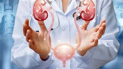  أعراض التهاب المثانة، وأسباب الإصابة وأفضل طرق العلاج