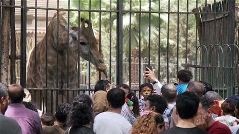 حديقة الحيوان، فيتو
