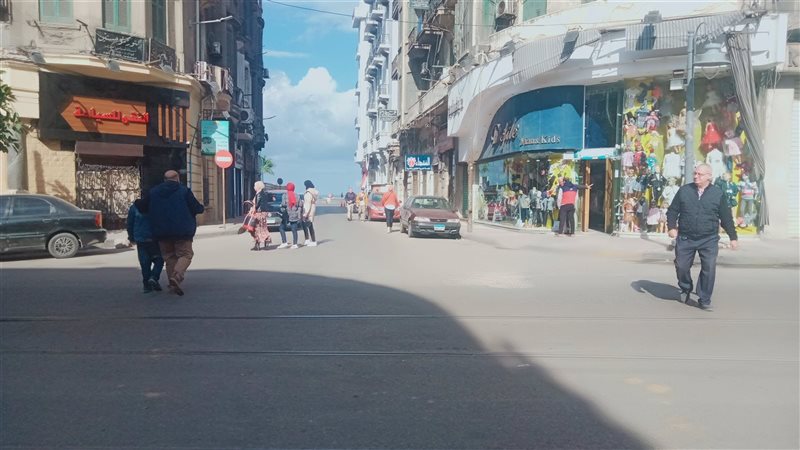 محافظة الإسكندرية،فيتو