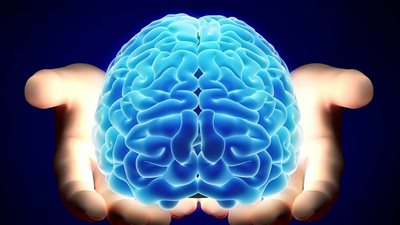 دراسة مثيرة تثبت تفوّق أدمغة الناطقين باللغة العربية