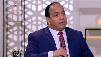 عبد المنعم السيد: مصر تعاني من عشوائية الاستيراد وخاصة السلع الترفيهية والاستفزازية