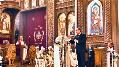 استشهد به الرئيس. تفاصيل كتاب 