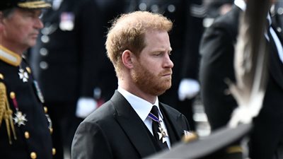 مذكرات هاري، حلفاء قصر باكنجهام يردون مزاعم الأمير فى كتابه