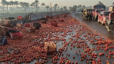 مصرع سائق في حادث على طريق المنصورة - جمصة بالدقهلية (صور) 