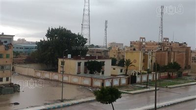 سقوط أمطار غزيرة على مدينة براني في مطروح (صور) 