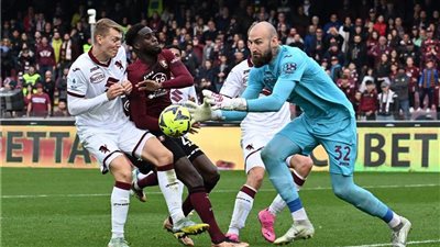 الدوري الإيطالي، تعادل تورينو مع ساليرنيتانا 1/1 