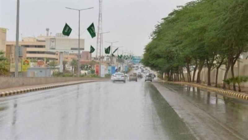 أمطار السعودية، فيتو