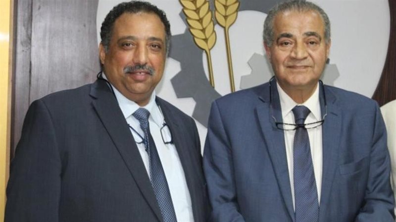 عبد الغفار السلاموني
