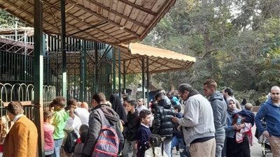 بيع حديقة الحيوان، الحكومة: لا مساس بالأشجار خلال عملية التطوير 