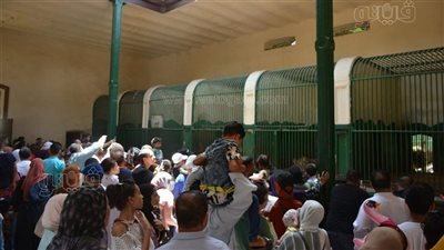 تطوير حديقة الحيوان، الزراعة تعلن موعد إغلاق حديقتي حيوان الجيزة والأورمان