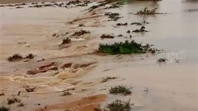 أمطار الخير تروي مزارع براني وتملأ آبارها.. وفرحة بين الأهالي (صور)