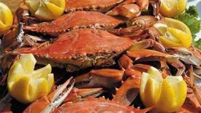 طريقة عمل الكابوريا، فى خطوات بسيطة 