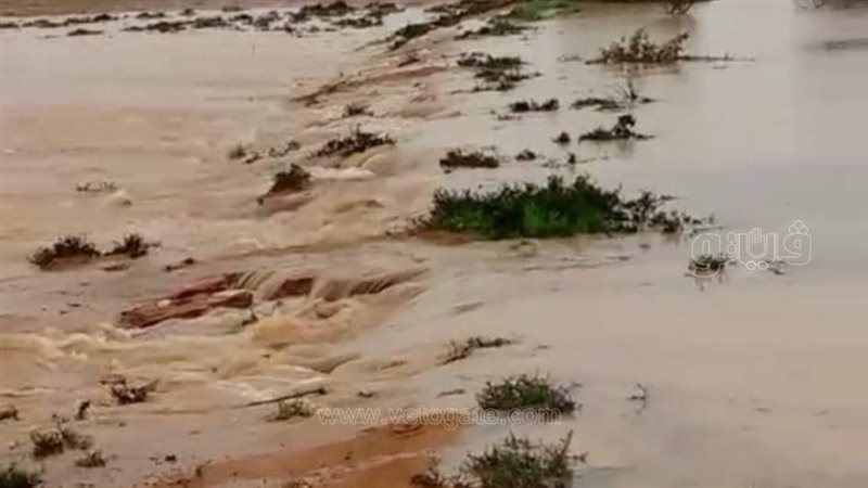 أمطار الخير تروي