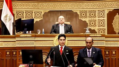 دمج الاقتصاد غير الرسمي، رئيس الشيوخ للأعضاء: حصول الدولة على حقها ليس حراما