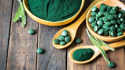 باحث بالقومي للبحوث: طحالب السبيرولينا من مصادر البروتينات البديلة الآمنة 