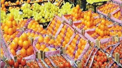 هل تنجح مصر في دفع الصادرات الزراعية لأرقام غير مسبوقة رغم الأزمات العالمية؟ 