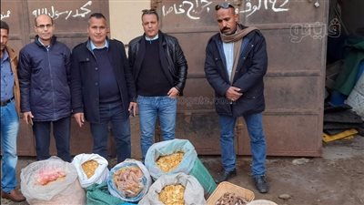 ضبط مخلفات شيبسي وسردين فاسد في حملة رقابية ببني سويف