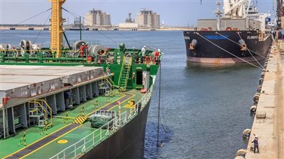 تداول 34 سفينة بضائع بميناء دمياط 