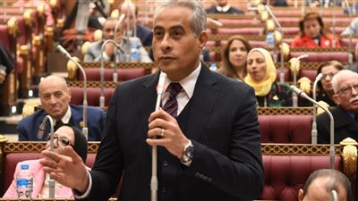 وزير القوى العاملة: مشروع قانون خاص بعمال الخدمة المنزلية 