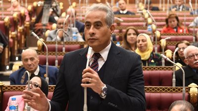 حسن شحاتة يستعرض خطة القوى العاملة أمام مجلس الشيوخ: ندرس مشروع قانون خاص بعمال الخدمة المنزلية.. وإنشاء وحدة المساواة بين الجنسين