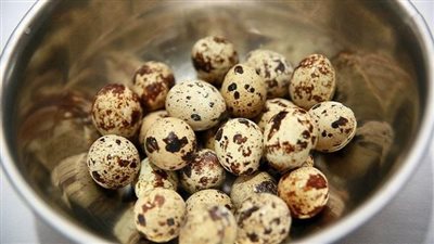 الزراعة تطرح بيض السمان بعد ارتفاع أسعار بيض المائدة.. وخبراء يكشفون فوائده الغذائية