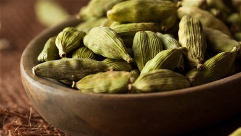 فوائد الحبهان، فيتو
