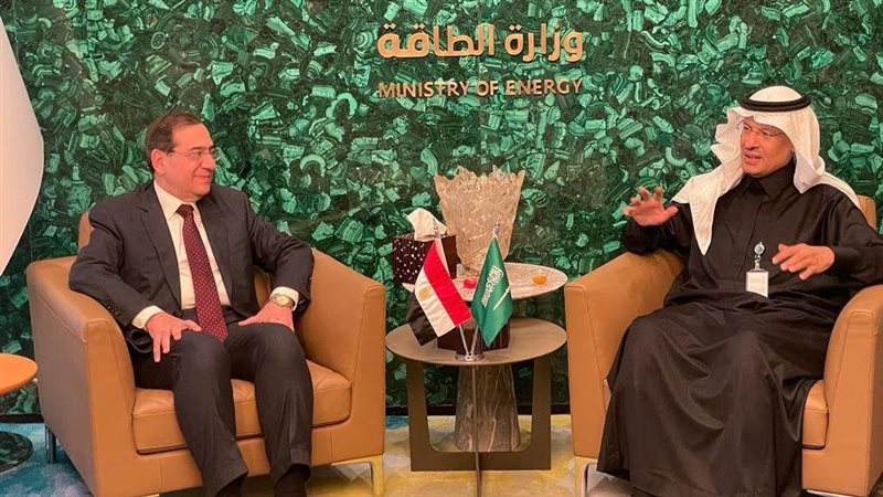 وزير البترول يشارك