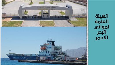 تداول 9 آلاف طن بضائع بموانئ البحر الأحمر