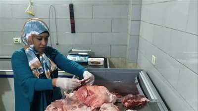 ضبط 1.5 طن لحوم فاسدة فى حملة لجهاز حماية المستهلك بأسوان (صور)