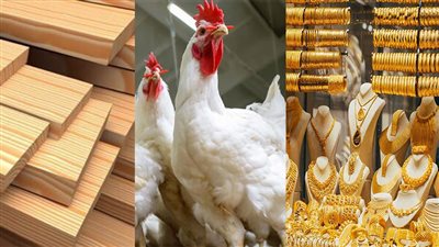 أسعار السلع في الأسواق.. توقعات بارتفاع الأخشاب والدواجن والمواد الغذائية.. والذهب يصل إلى أرقام قياسية بزيادة 200 جنيه