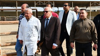 محافظ بورسعيد: محطة تسمين الماشية استقبلت ألف رأس خلال الفترة الماضية (صور)