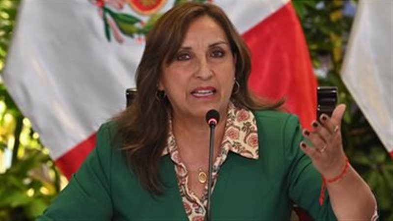  الرئيسة دينا بولوارتي،فيتو