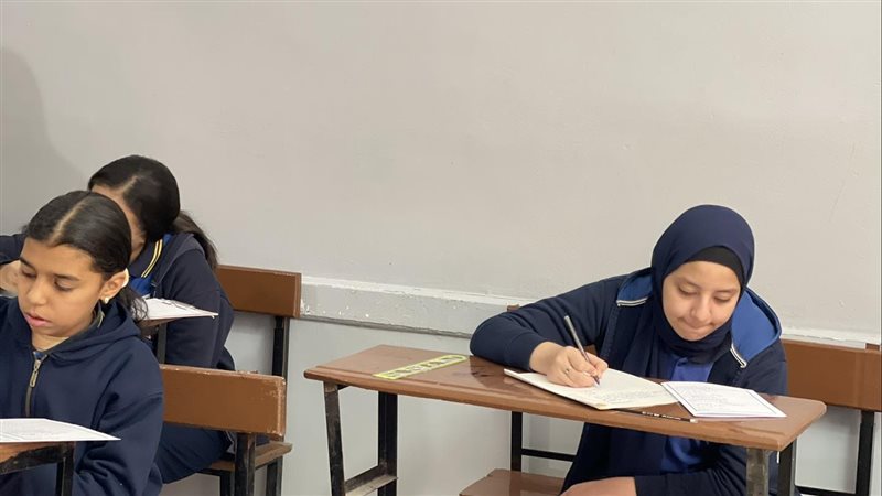 فيتو