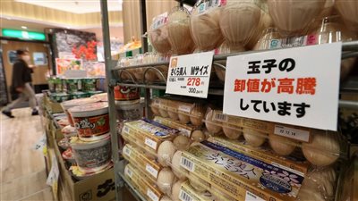 على غرار مصر، ارتفاع قياسي لأسعار البيض في اليابان