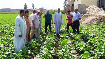 حلول البرلمان لأزمات أراضي الخريجين