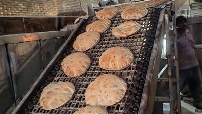 تحرير 165 محضرًا للمخابز والأسواق والمستودعات ومحطات الوقود ببني سويف