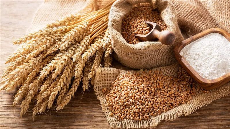أسعار القمح، فيتو