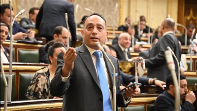 برلمانى يسأل الحكومة،بشأن تداعيات تخفيض قيمة الجنيه مرة أخرى