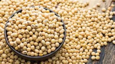 فوائد فول الصويا، الوقاية من مرض السكري وسرطان البروستاتا