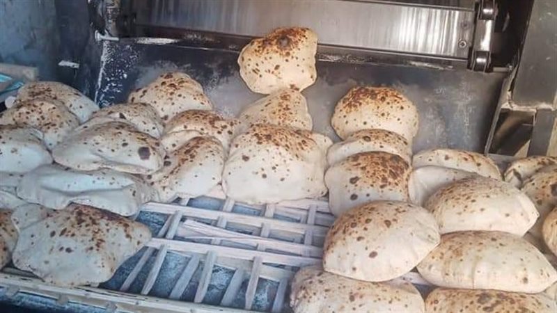 جانب من حملة تموين