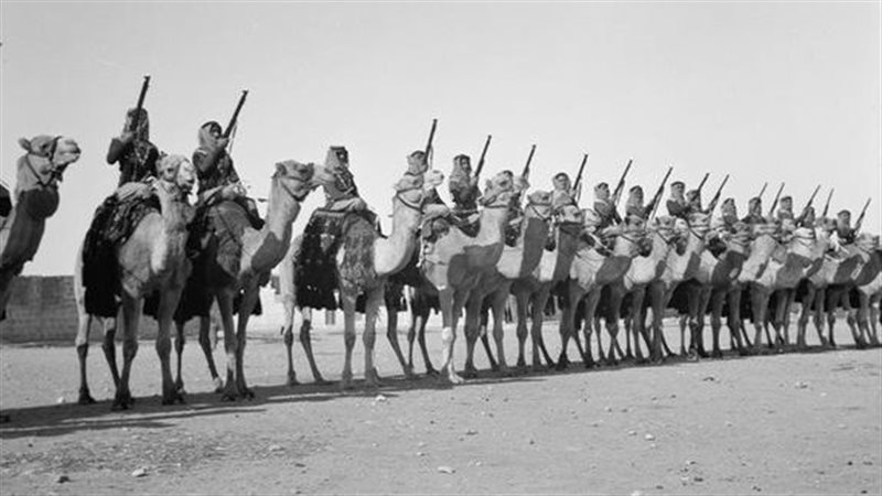 معارك الملك عبد العزيز
