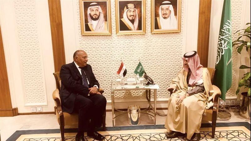 سامح شكري وفصيل بن