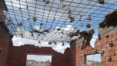 حملات مكثفة لإزالة التعديات على الأراضي الزراعية في الدقهلية 